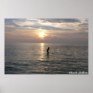 Poster Charli sur la plage de Th