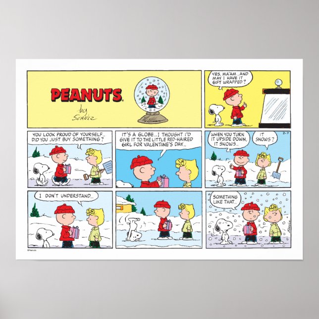 Poster Charlie Brown | Boule à neige (Devant)