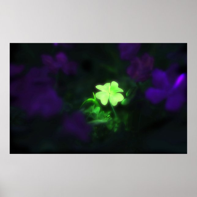 Poster Charme chanceux (Devant)