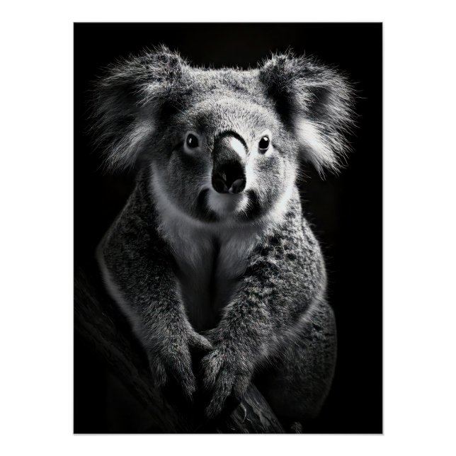 Poster Charming Black & White Koala Fine Art Print | (Devant)