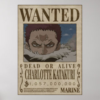 Poster CHAROLETTE KATAKURI Une pièce recherchée