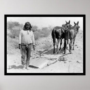 Poster charrue et Indien Mule-dessinés 1920