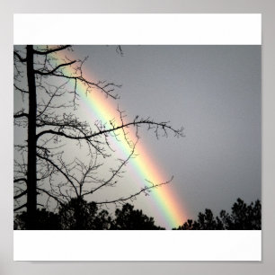 Poster Chasing After Rainbows