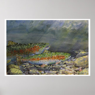 Poster Chasing Rainbows