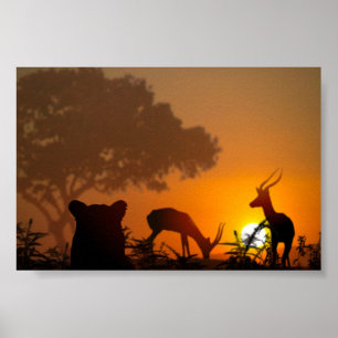 Poster Chasse à lion