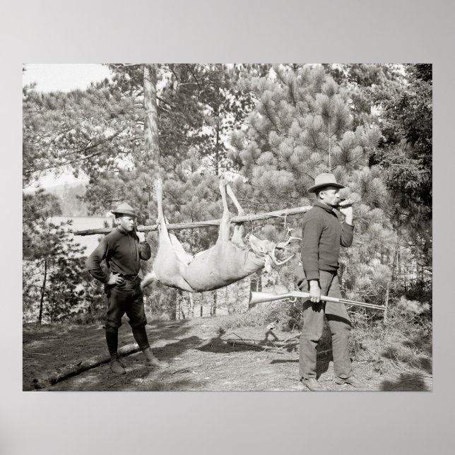 Poster Chasse au cerf, 1902. Photo ancienne (Devant)