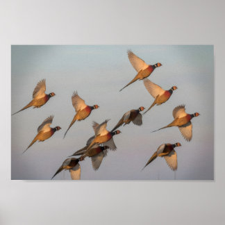 Poster Chasse début de saison chasseur de primes