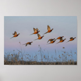 Poster Chasse début de saison chasseur de primes