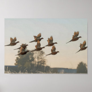 Poster Chasse début de saison chasseur de primes