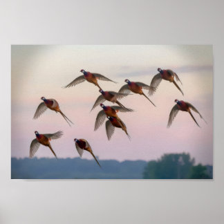 Poster Chasse début de saison chasseur de primes