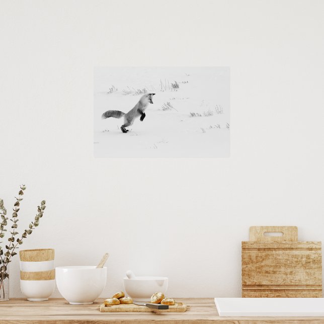 Poster Chasse Red Fox Photographie noir et blanc (Cuisine)