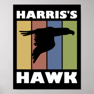 Poster Chasseur de faucon hawk