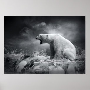Poster Chasseur d'ours blanc sur la glace dans l'eau