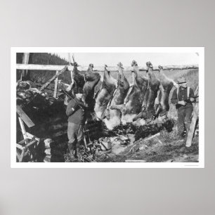 Poster Chasseurs de caribou Alaska 1928