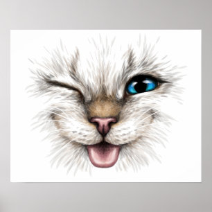 Poster Chat