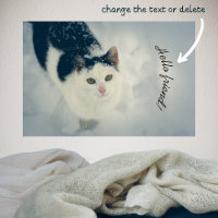 Chat