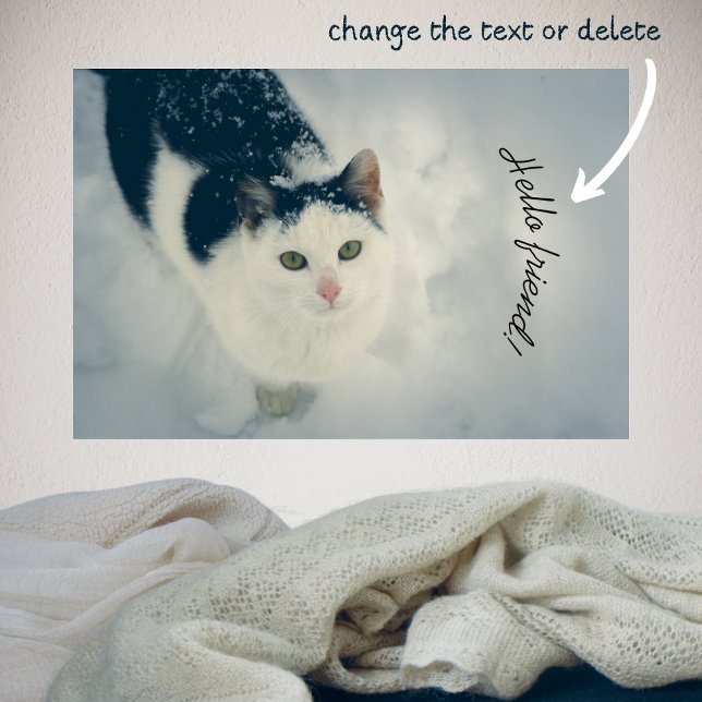 Poster Chat (Créateur téléchargé)