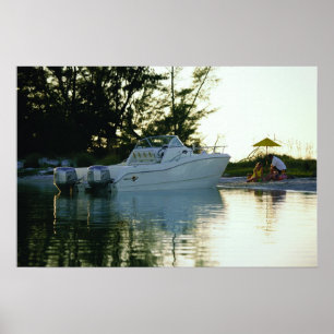 Poster Chat 270SC du monde