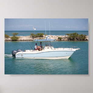 Poster Chat 270SF du monde