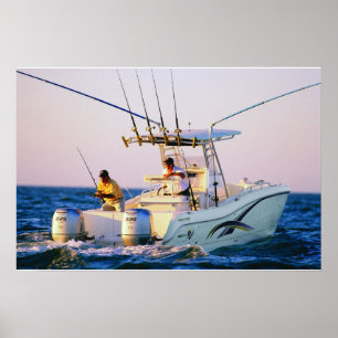 Poster Chat 270TE du monde