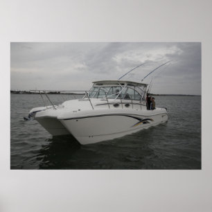 Poster Chat 320EC du monde