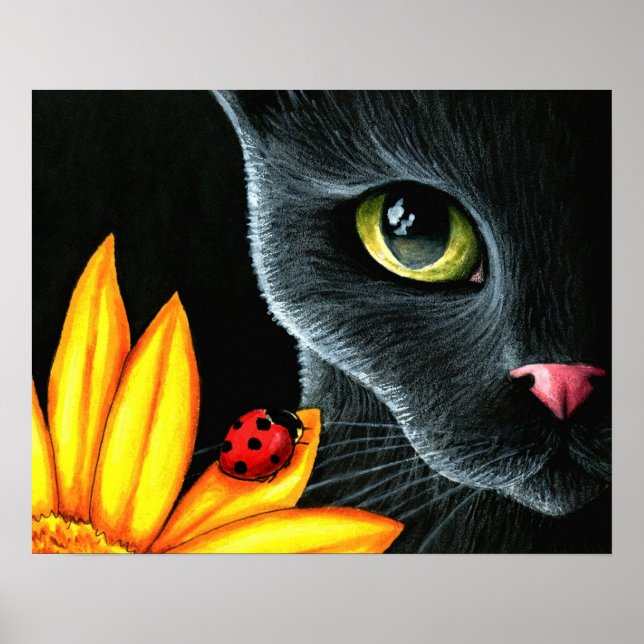 Poster Chat 510 (Devant)