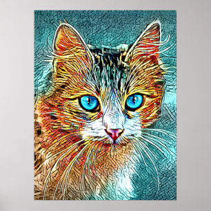 Poster Chat 685 Turquoise Orange