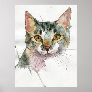 Poster Chat à l'aquarelle