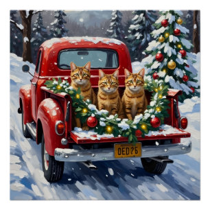 Poster Chat abyssin camion rouge de Noël vacances