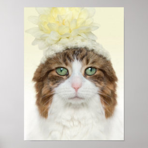 Poster Chat Avec Casquette Fleur