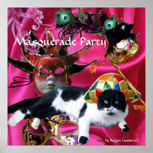 POSTER CHAT AVEC CASQUETTE HARLEQUIN ET MASQUERADE DE FÊT