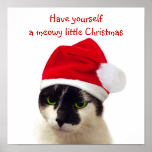 Poster Chat avec Casquette Père Noël