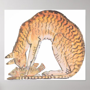 Poster chat avec poisson