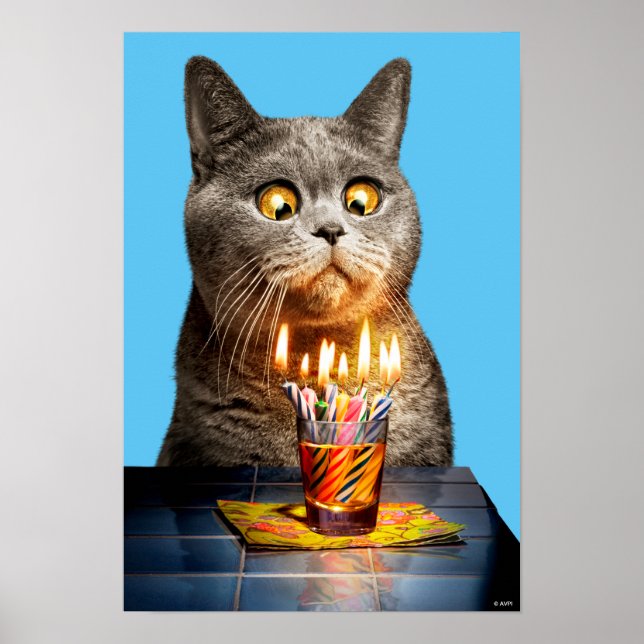 Poster Chat Avec Verre Balayé Anniversaire (Devant)