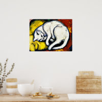 Chat blanc, beaux-arts,