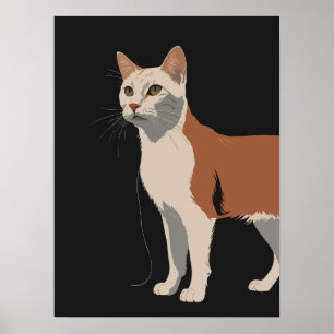 Poster Chat blanc et orange en arrière - plan noir