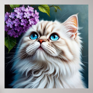 Poster Chat Blanc Fluffy Avec Des Yeux Bleus