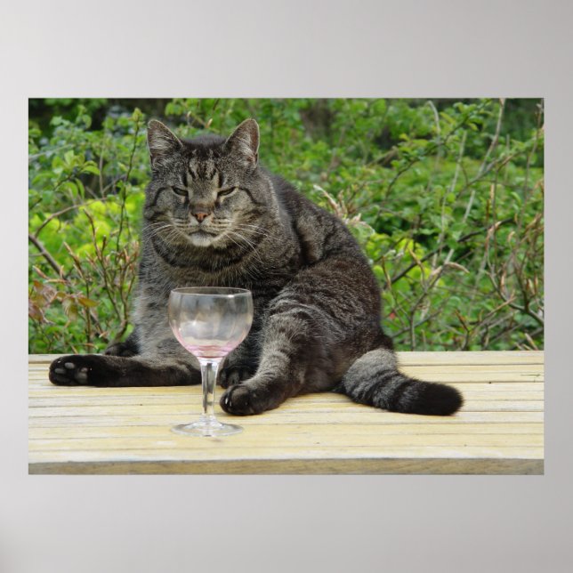 Poster Chat "Bram" sur la table avec un verre de vin (Devant)