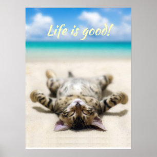 Poster Chat bronzage à la plage