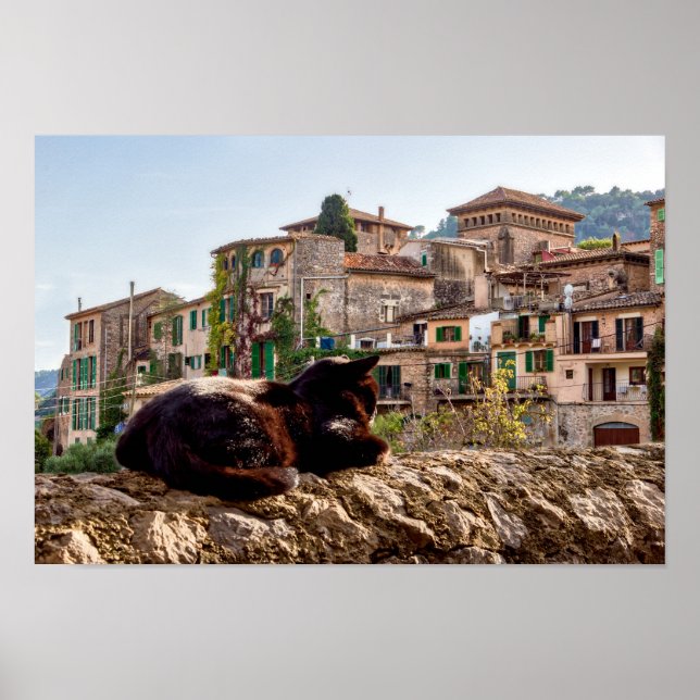 Poster Chat bronzage sur un mur - Valldemossa, Majorque (Devant)