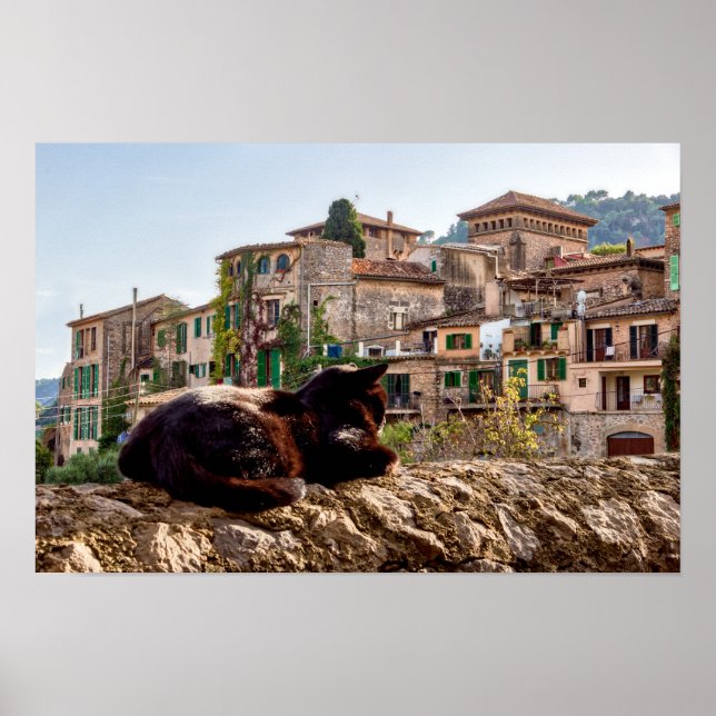 Poster Chat bronzage sur un mur - Valldemossa, Majorque (Devant)