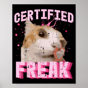 Poster Chat certifié fou drôle dicton chaton femme fille