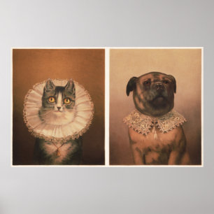 Poster Chat & Chien