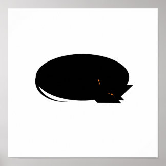 Poster Chat confortable