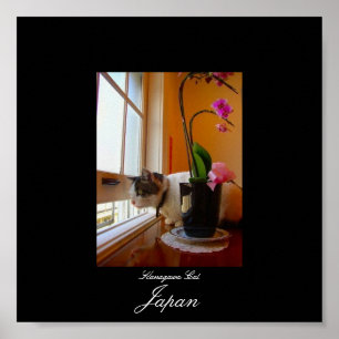 Poster Chat dans Kanagawa, Japon