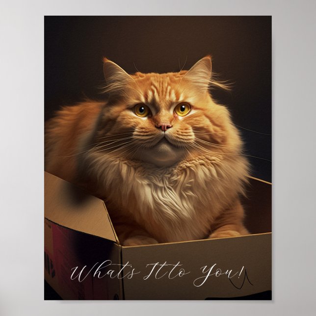 Poster Chat Dans La Boîte À Chaussures - Chat Sarcastique (Devant)