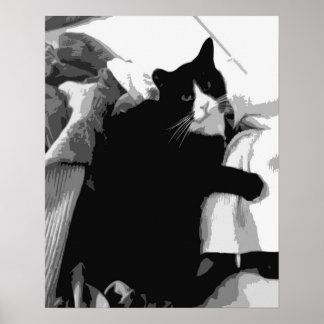 Poster Chat de linge
