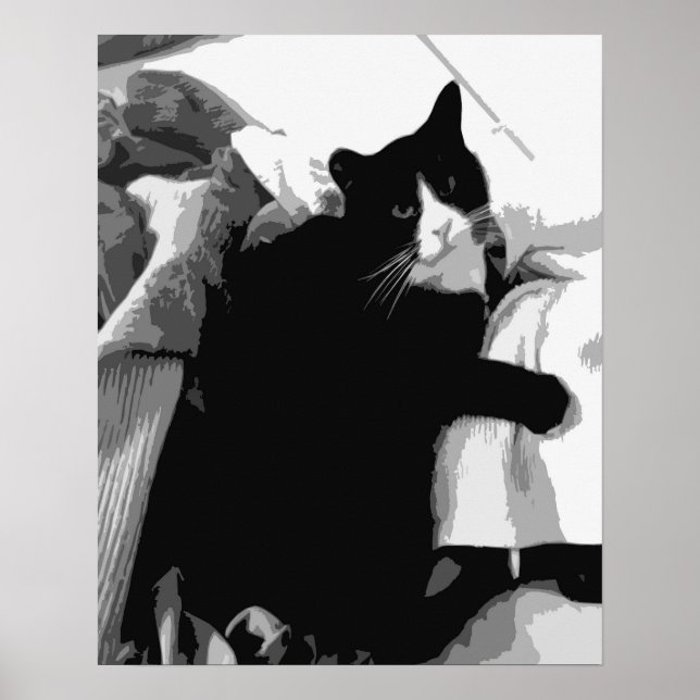 Poster Chat de linge  (Devant)