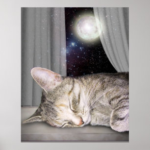 Poster Chat de lune