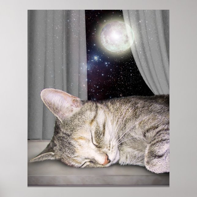 Poster Chat de lune (Devant)